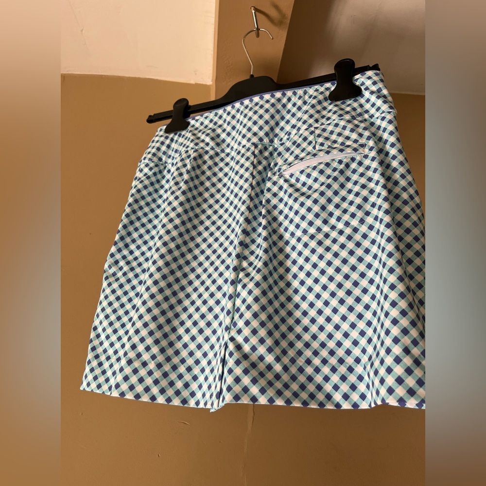 Fairway & Greene blue and white gingham mini skirt β³οΈπ¦π - Picture 2 of 5